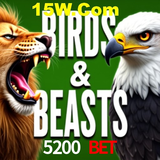 Interface Premium 5200 Bet